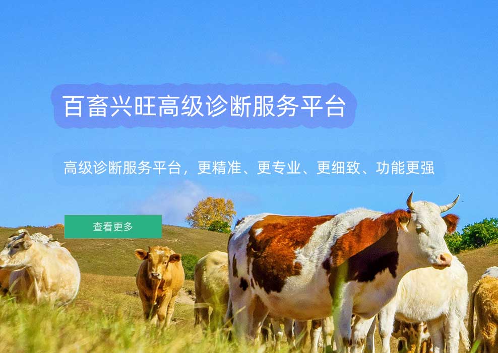 百畜兴旺企业版