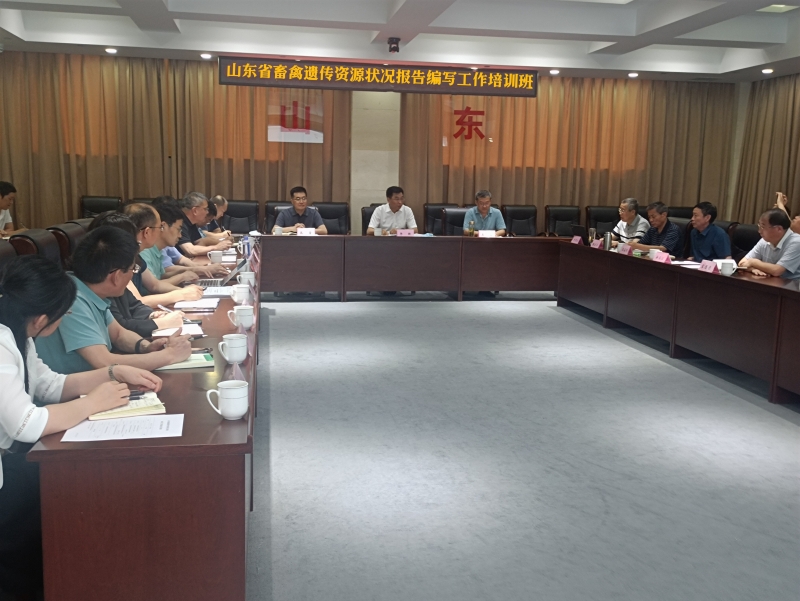 amjs澳金沙门151(集团)有限公司官网