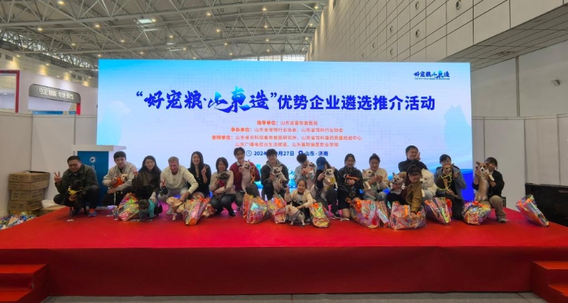 amjs澳金沙门151(集团)有限公司官网